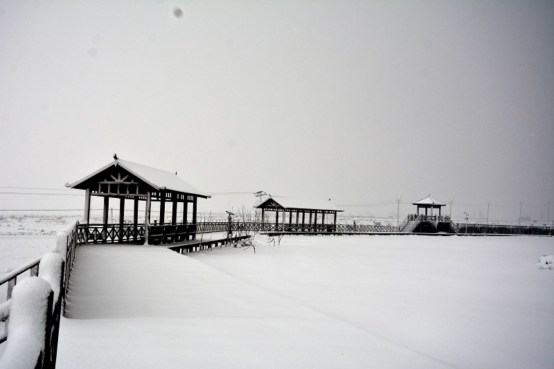 東山雪景1.jpg